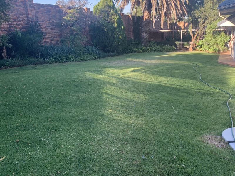A spacious, well-maintained private garden featuring a large lawn, mature palm tree, and secure brick boundary wall.