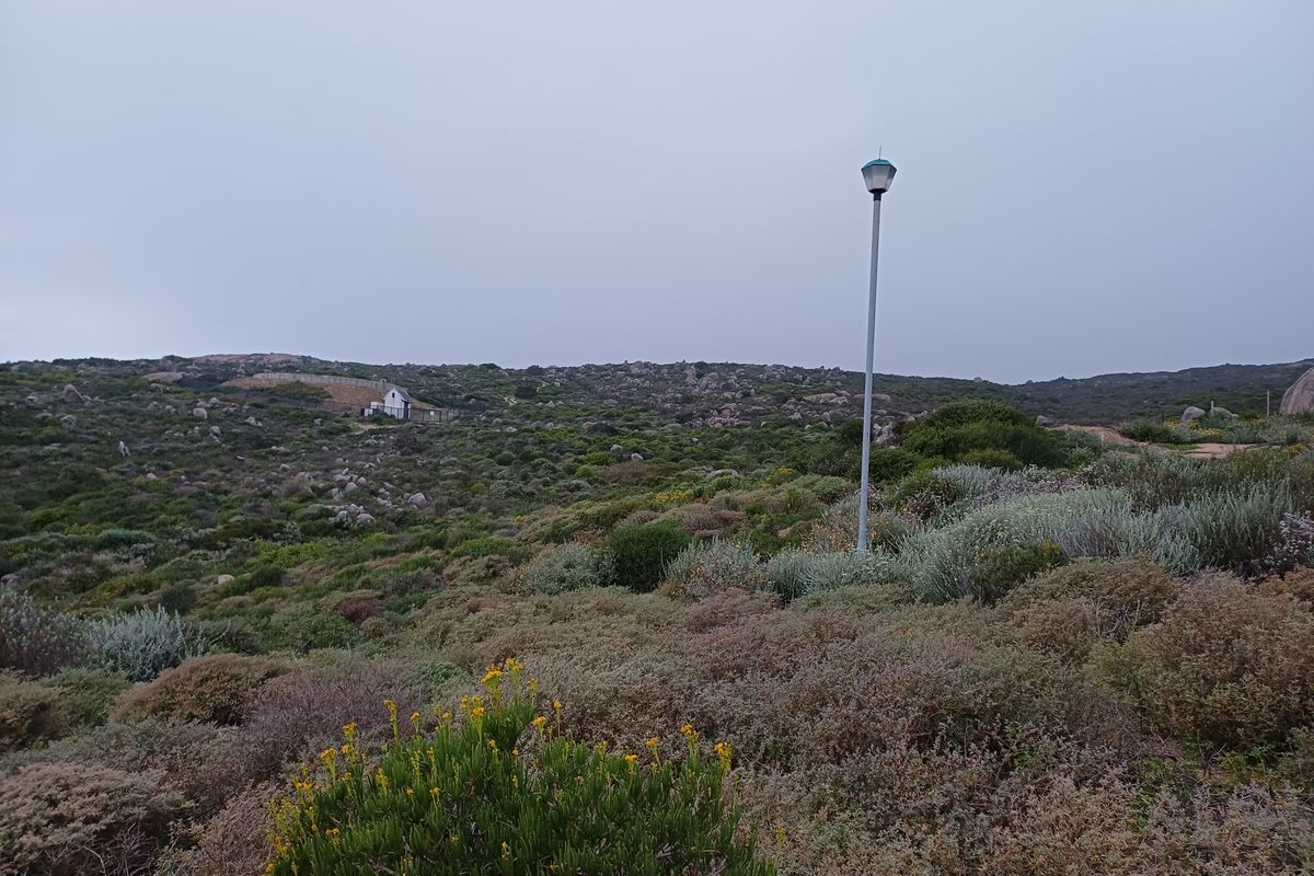 A view of a vacant residential plot featuring natural coastal vegetation and a single street light pole.