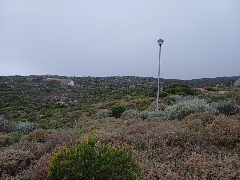 A view of a vacant residential plot featuring natural coastal vegetation and a single street light pole.