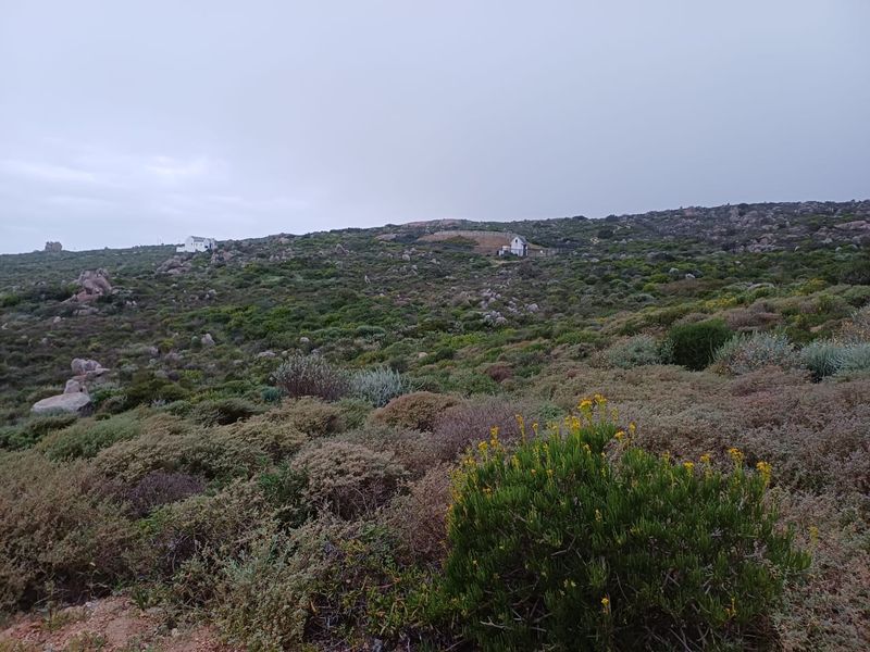 A wide-angle view of the natural, undeveloped landscape featuring indigenous coastal vegetation and rocky terrain.