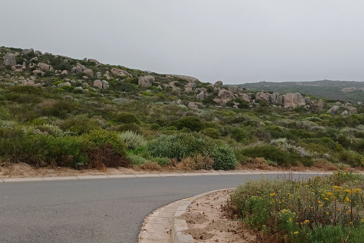 A view of the paved road and concrete curbing bordering the natural, rocky, and vegetated landscape of the vacant residential property.