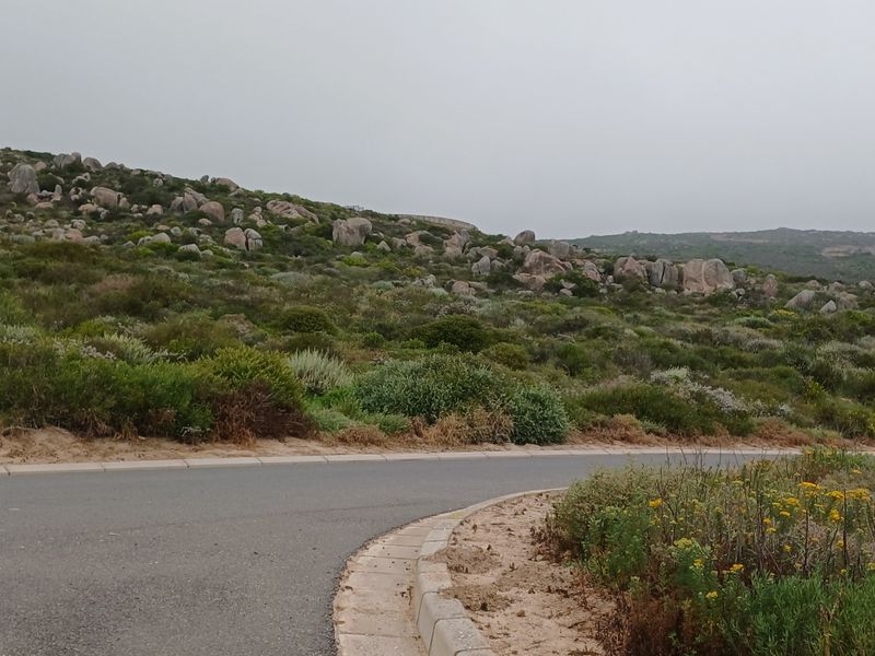 A view of the paved road and concrete curbing bordering the natural, rocky, and vegetated landscape of the vacant residential property.