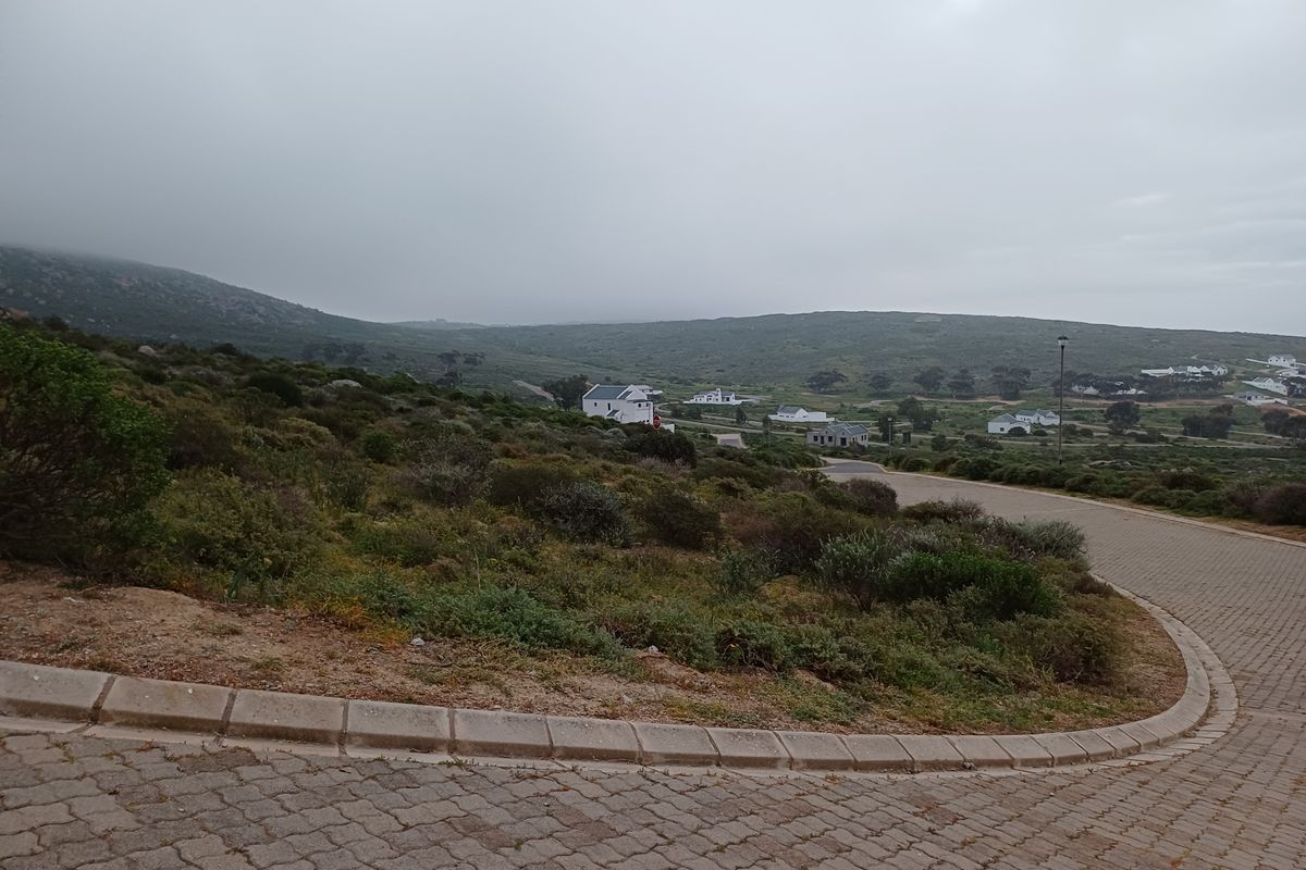 A view of the paved street and surrounding natural landscape in a residential estate.