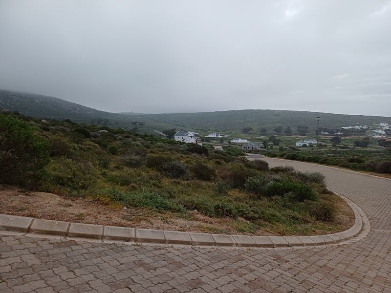 A view of the paved street and surrounding natural landscape in a residential estate.