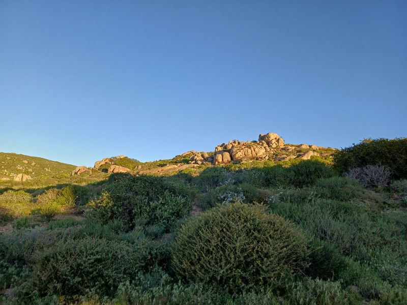 A scenic view of natural rock formations and native vegetation on the vacant residential land.