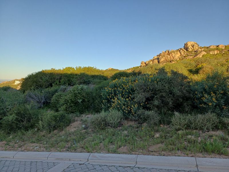 A view of a vacant residential plot featuring natural rock formations, indigenous vegetation, and a paved curb along the street frontage.