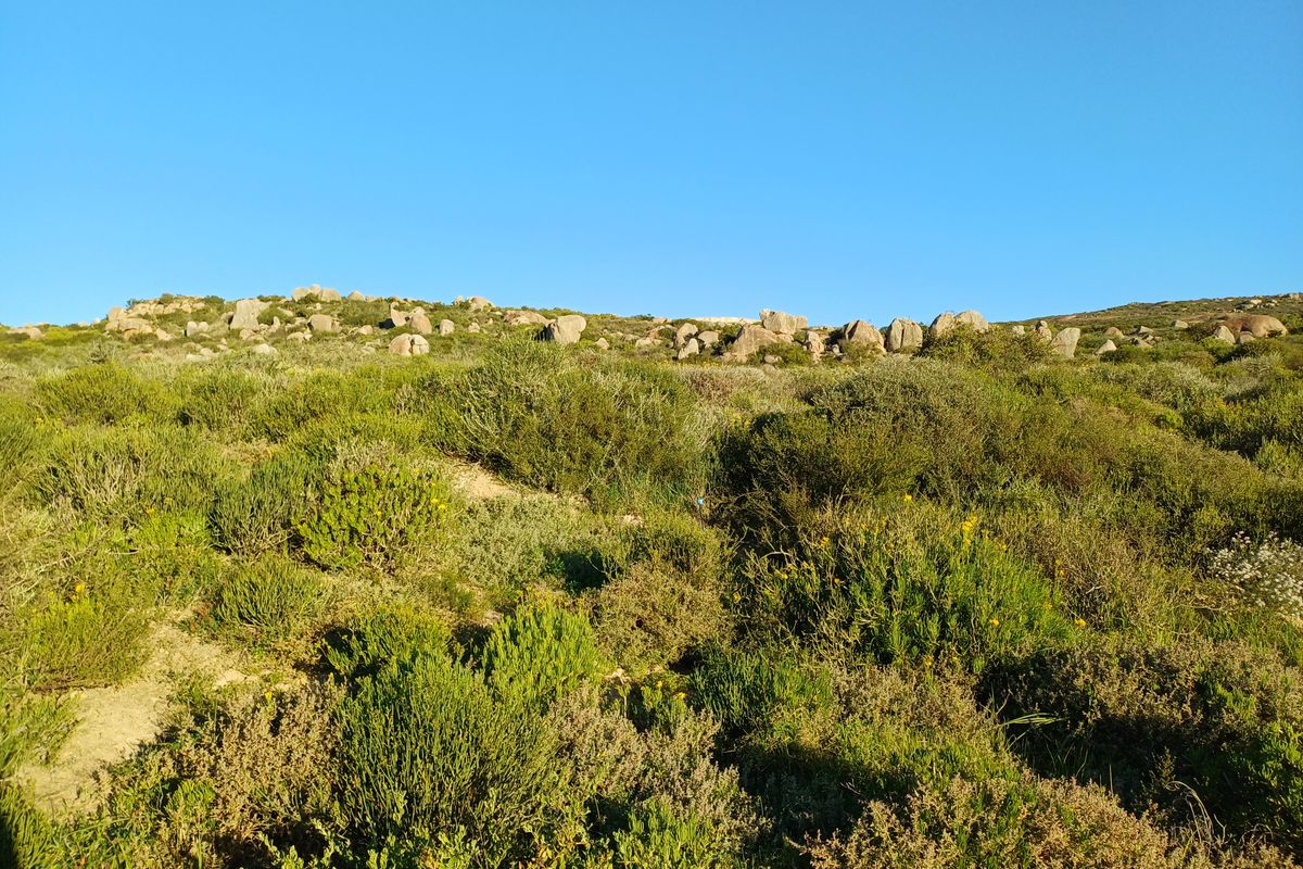 A view of the natural, undeveloped residential land featuring indigenous shrubs and scattered rock formations under a clear blue sky.