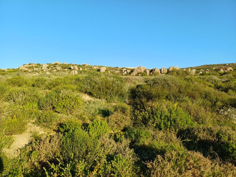 A view of the natural, undeveloped residential land featuring indigenous shrubs and scattered rock formations under a clear blue sky.