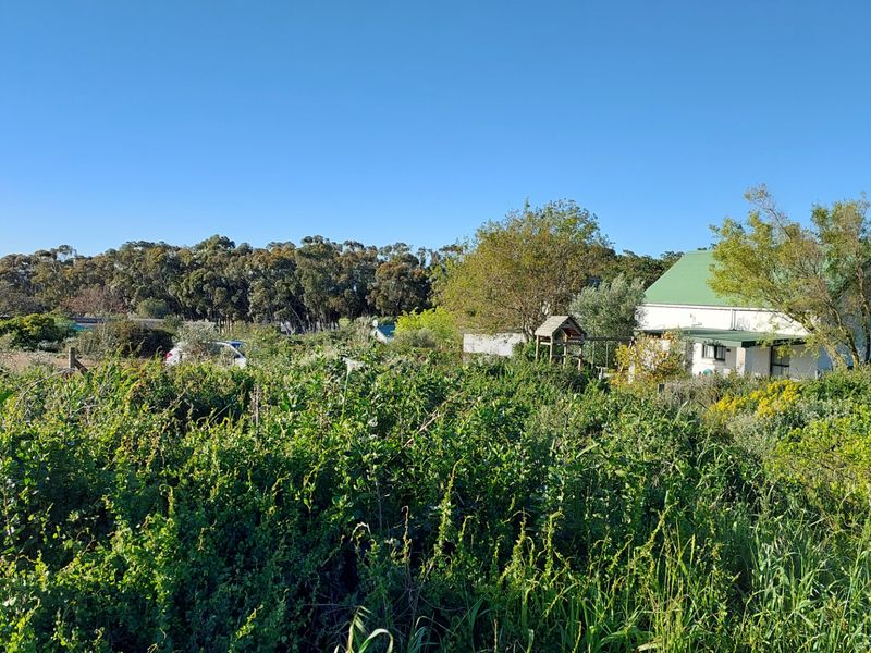 A view of a large, overgrown garden area with a residential building featuring a green metal roof in the background.