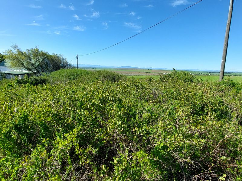 A wide-angle view of the surrounding rural landscape and distant mountains, featuring dense natural vegetation and utility infrastructure.