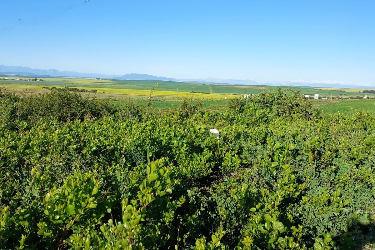 A scenic, expansive view of the surrounding rural landscape and distant mountains, framed by lush foreground greenery.