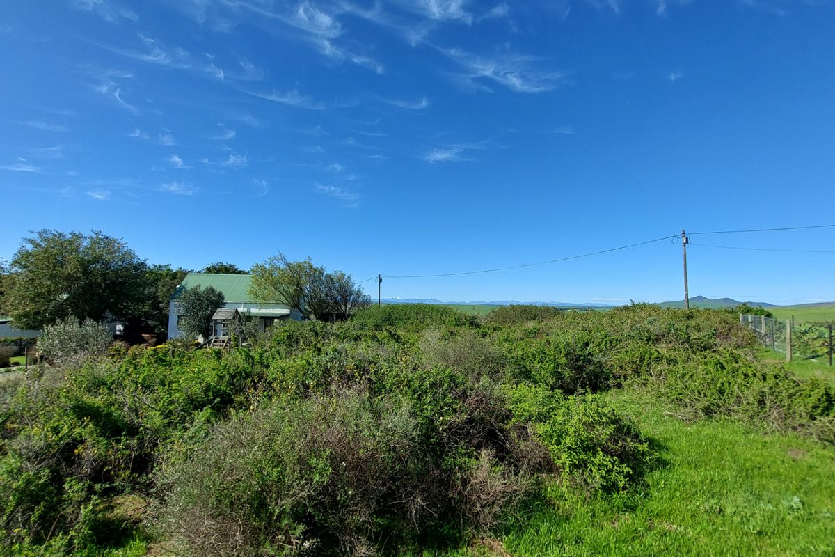 A wide-angle view of the property grounds featuring extensive overgrown vegetation and a distant view of the surrounding landscape.