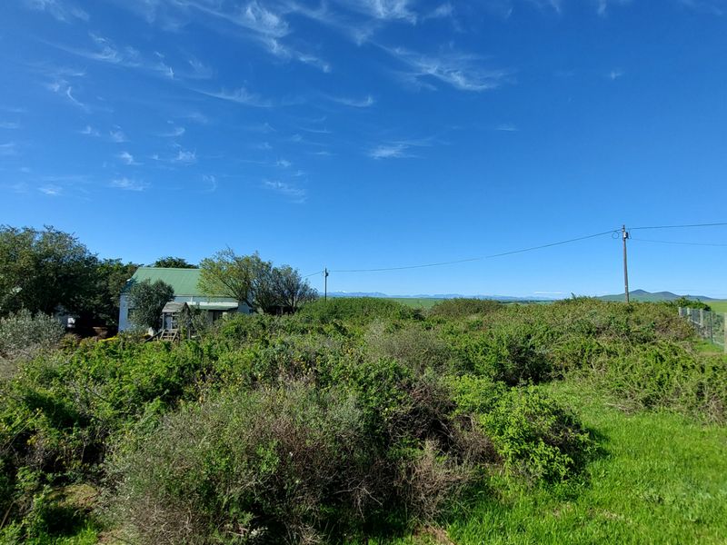 A wide-angle view of the property grounds featuring extensive overgrown vegetation and a distant view of the surrounding landscape.