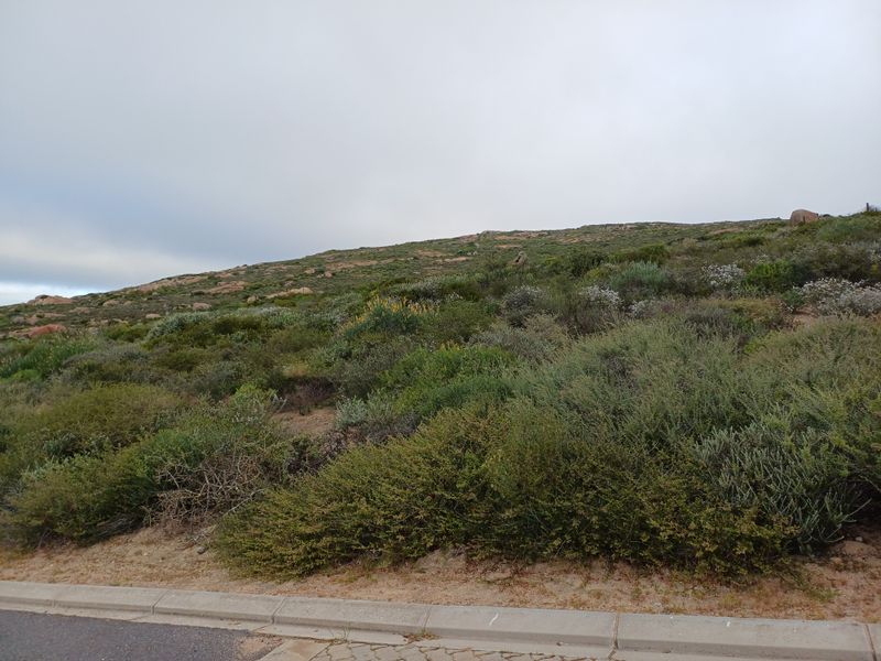 A view of a sloped, undeveloped residential plot featuring natural coastal vegetation and a concrete curb along the street frontage.