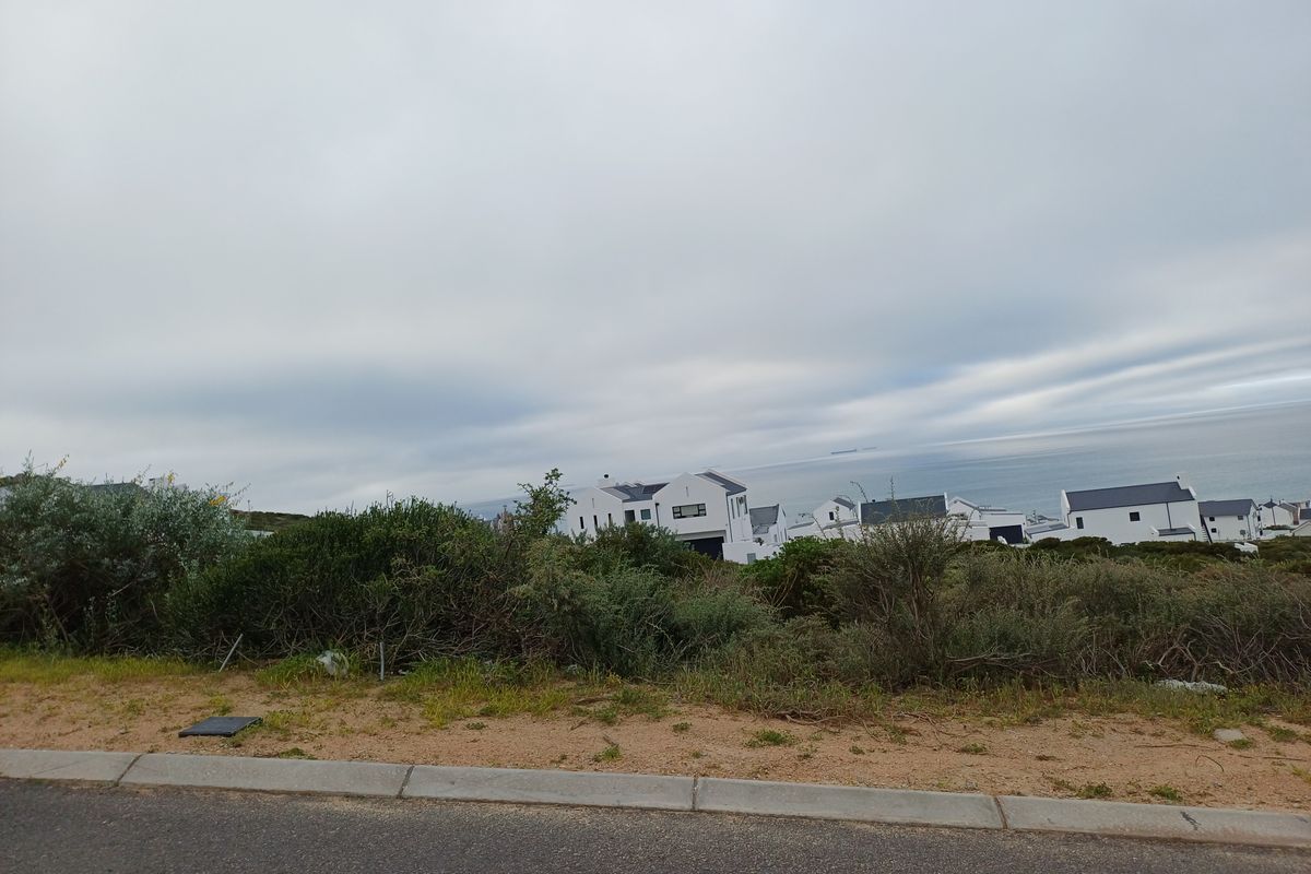 A view from the street level overlooking coastal vegetation and neighboring residential properties towards the ocean.