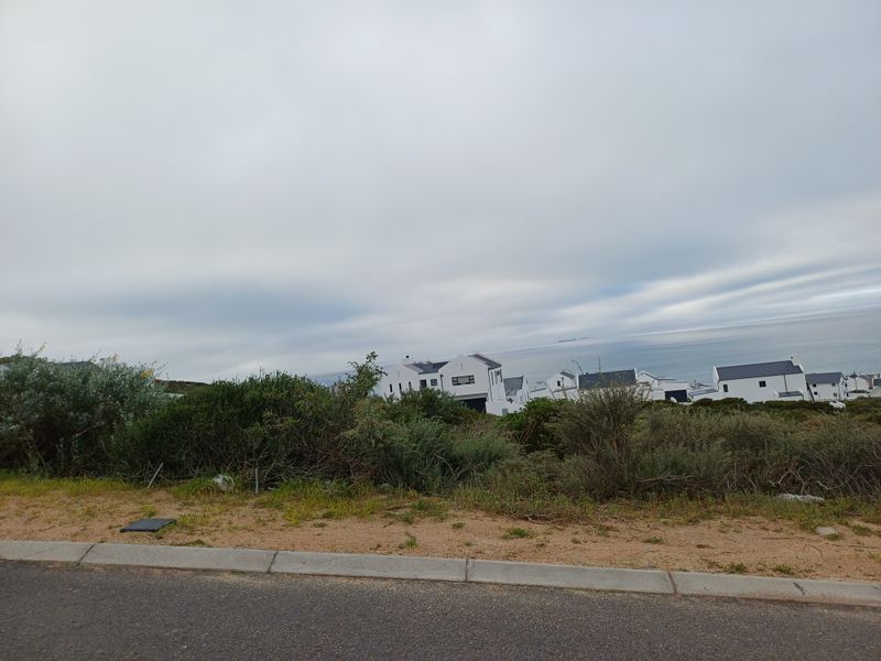 A view from the street level overlooking coastal vegetation and neighboring residential properties towards the ocean.