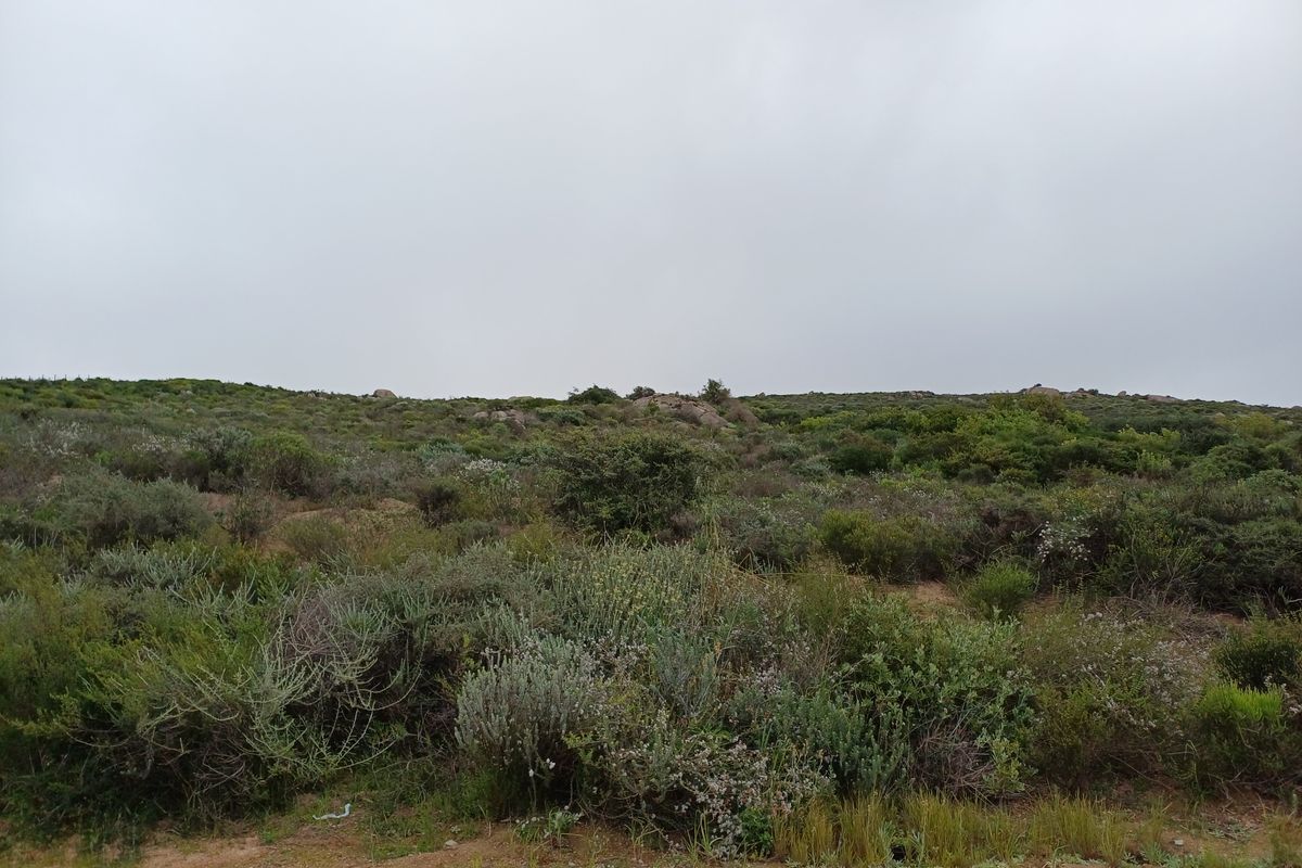 An undeveloped residential plot featuring natural coastal vegetation and rocky terrain, bordered by a paved verge.