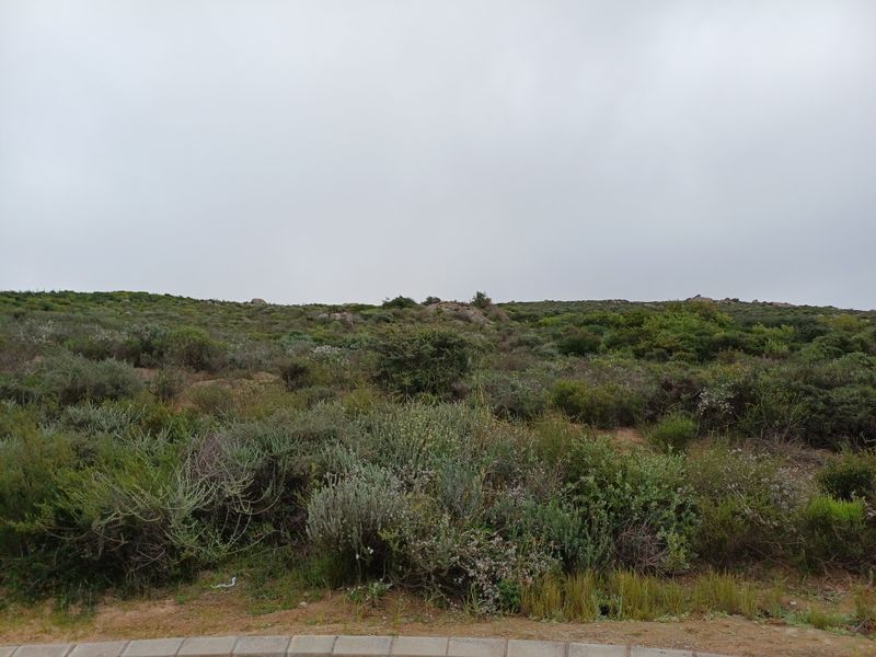 An undeveloped residential plot featuring natural coastal vegetation and rocky terrain, bordered by a paved verge.