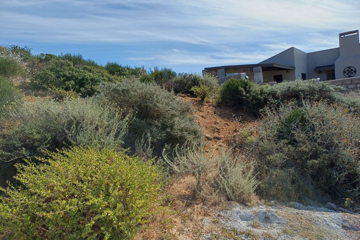 A view of the sloped, naturally landscaped rear section of the residential property with a portion of the main structure visible in the background.