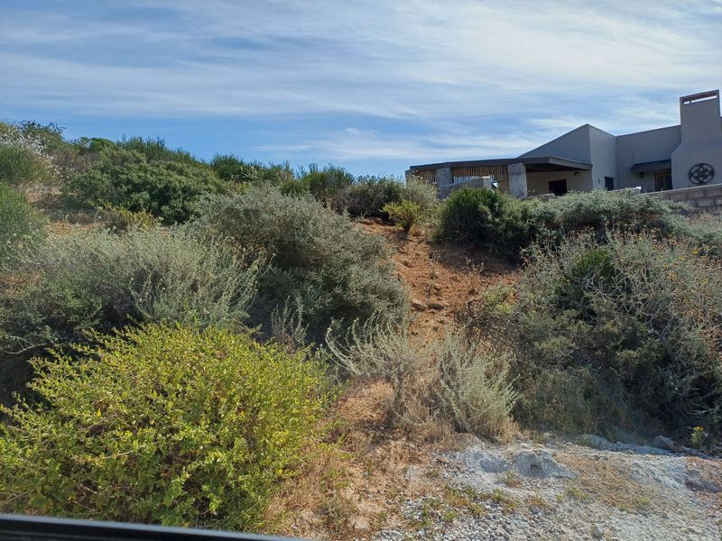 A view of the sloped, naturally landscaped rear section of the residential property with a portion of the main structure visible in the background.