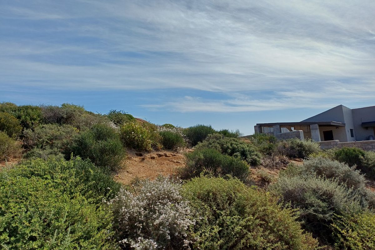 A view of the natural, sloped landscape featuring native coastal vegetation with a partial view of a modern residential structure in the background.