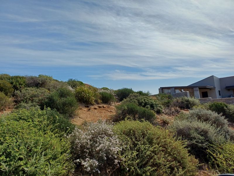 A view of the natural, sloped landscape featuring native coastal vegetation with a partial view of a modern residential structure in the background.