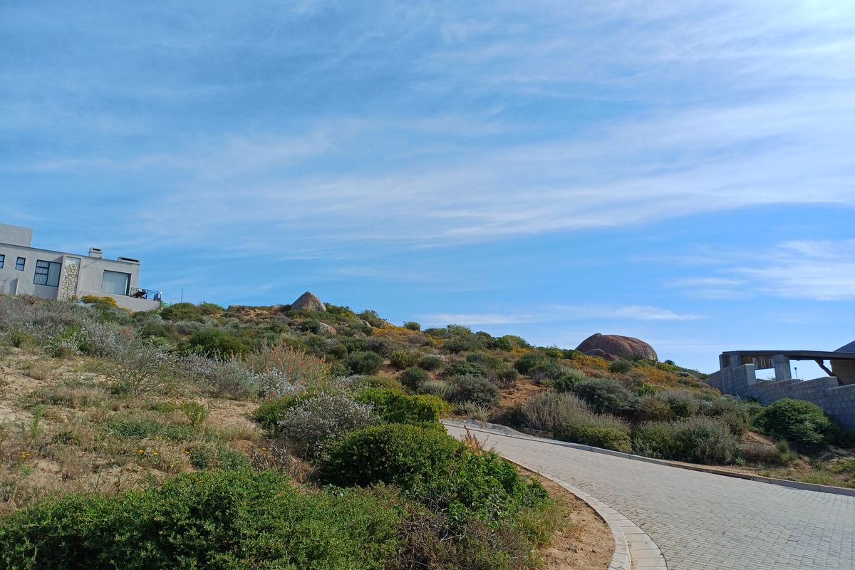 A view of a paved driveway winding through a natural, landscaped residential plot with rocky terrain and surrounding hillside vegetation.