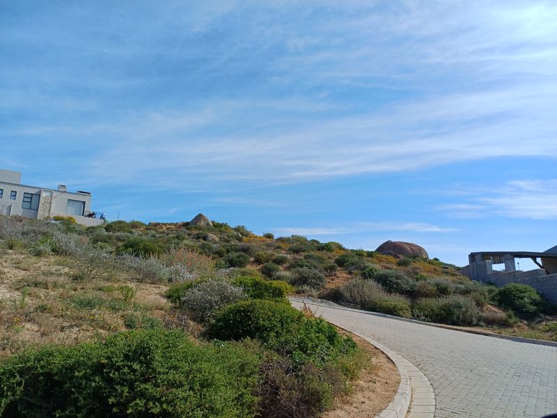 A view of a paved driveway winding through a natural, landscaped residential plot with rocky terrain and surrounding hillside vegetation.