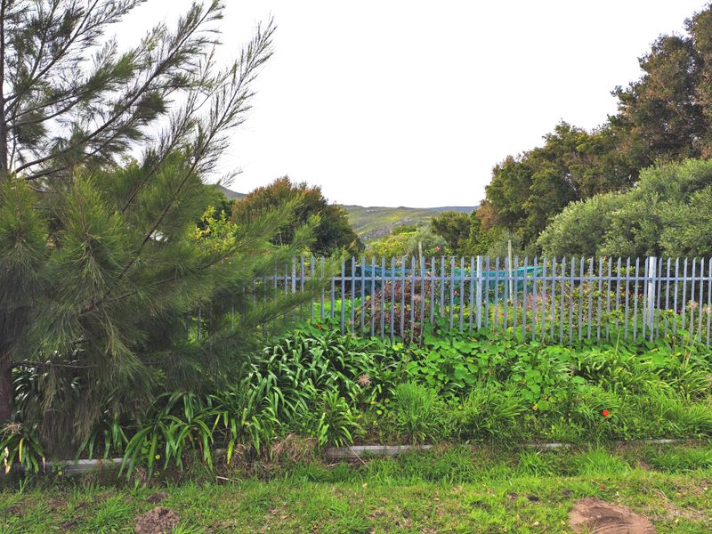 A view of a landscaped garden area featuring established greenery and secure metal palisade fencing with a natural backdrop.