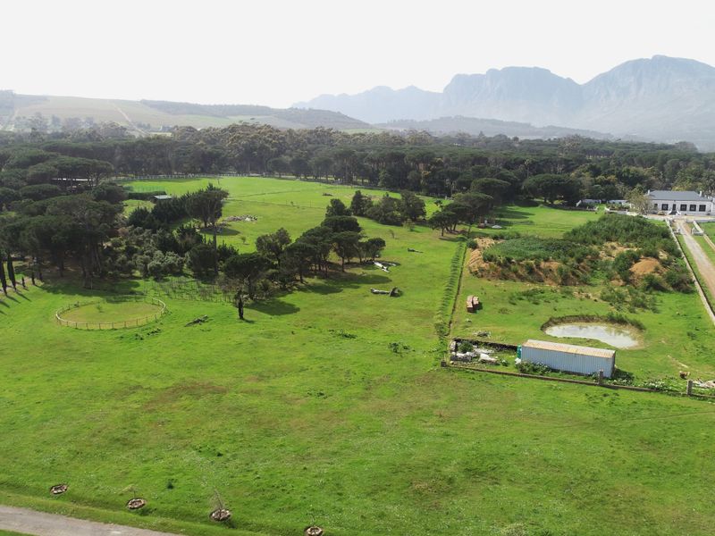 An aerial view of a large, open residential land plot featuring mature trees, a small pond, and a dirt access road with mountain views.