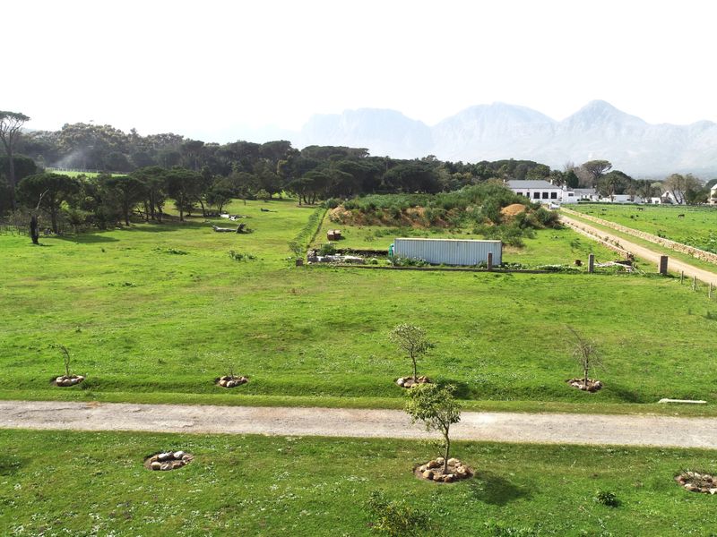 An aerial view of a large, open residential land plot featuring established trees, gravel pathways, and scenic mountain views in the background.