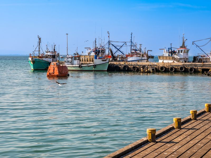 A scenic view of a harbour featuring a wooden jetty and several fishing vessels moored at the dock.
