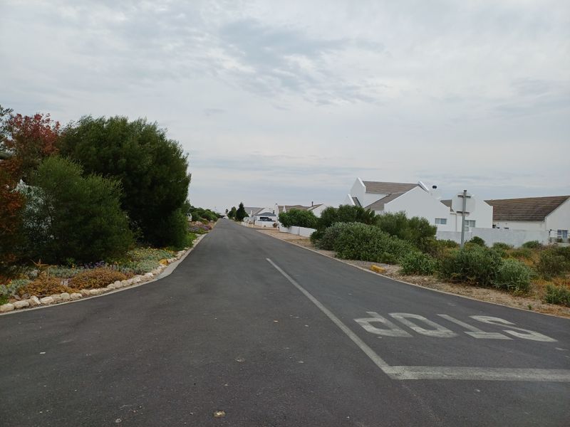 A view of the paved residential street and surrounding neighborhood landscape.
