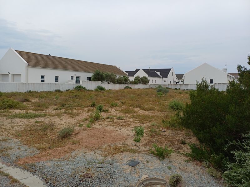 A vacant residential plot of land featuring natural ground cover and a boundary wall, situated within a developed residential estate.