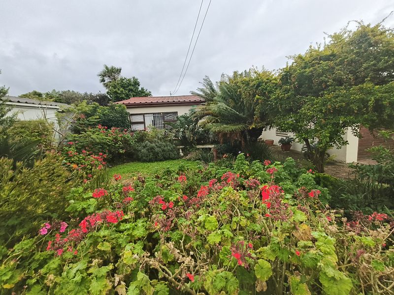 A lush, established garden featuring mature trees and vibrant flowering plants, providing a private outdoor setting for the property.