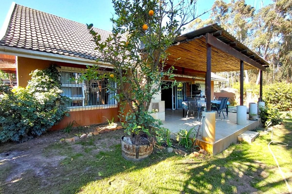 Rear view of the house featuring a covered patio with a thatched roof, tiled flooring, and sliding glass door access to the interior.