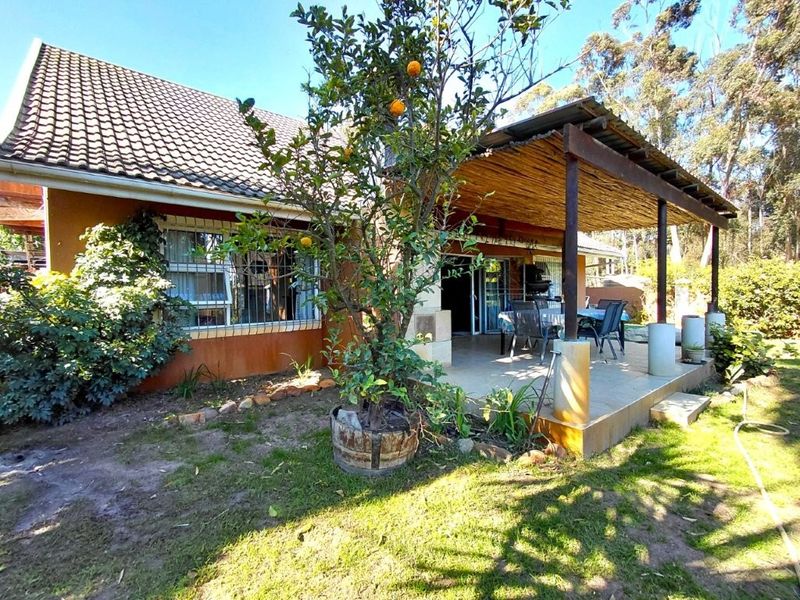 Rear view of the house featuring a covered patio with a thatched roof, tiled flooring, and sliding glass door access to the interior.