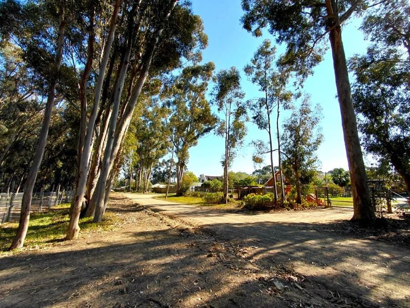 A view of the unpaved access road leading to the property, lined with mature trees and established perimeter fencing.