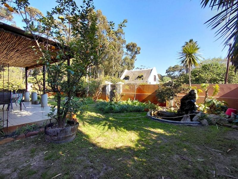 A private garden featuring a covered patio area with a thatched roof, a small water feature, and established landscaping with a boundary wall.