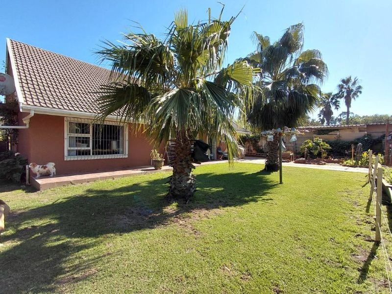A view of the rear garden featuring a lawn, mature palm trees, and the rear elevation of the house with tiled roofing and security bars.