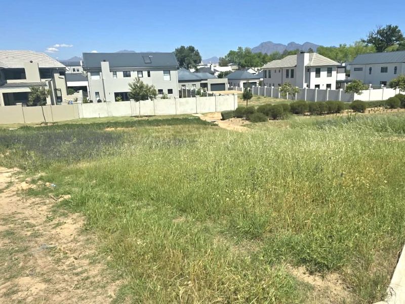 A vacant residential plot featuring natural grass coverage, enclosed by a perimeter wall, situated within a developed suburban estate.