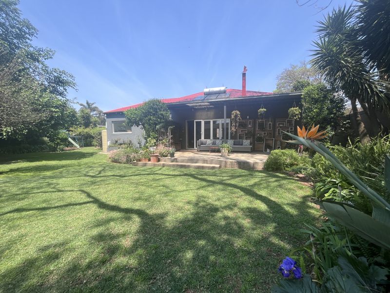 Rear view of the house featuring a covered patio, landscaped garden, and a metal roof with an integrated solar water heating system.