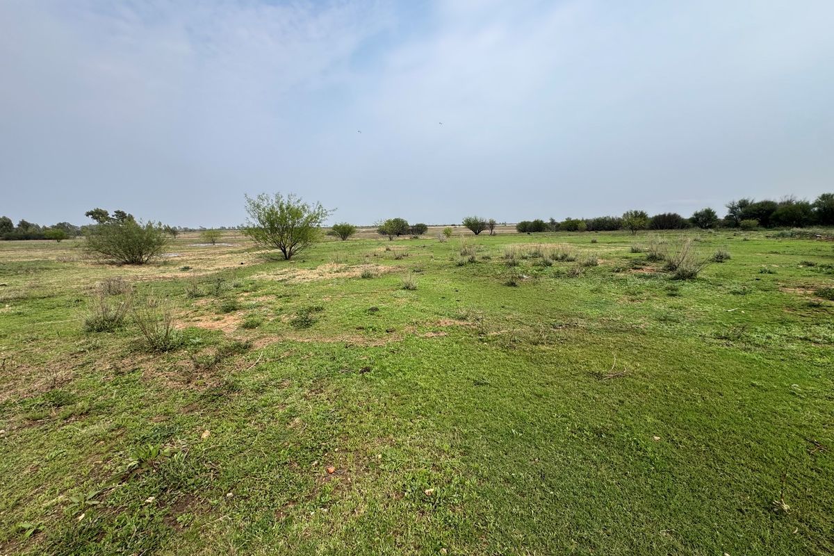 A wide-angle view of a vacant residential plot featuring natural grassland and scattered native vegetation.