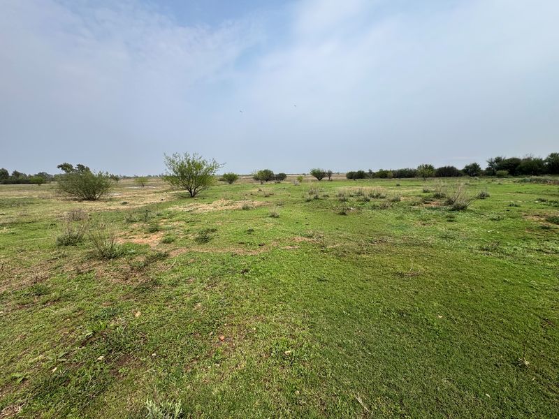 A wide-angle view of a vacant residential plot featuring natural grassland and scattered native vegetation.