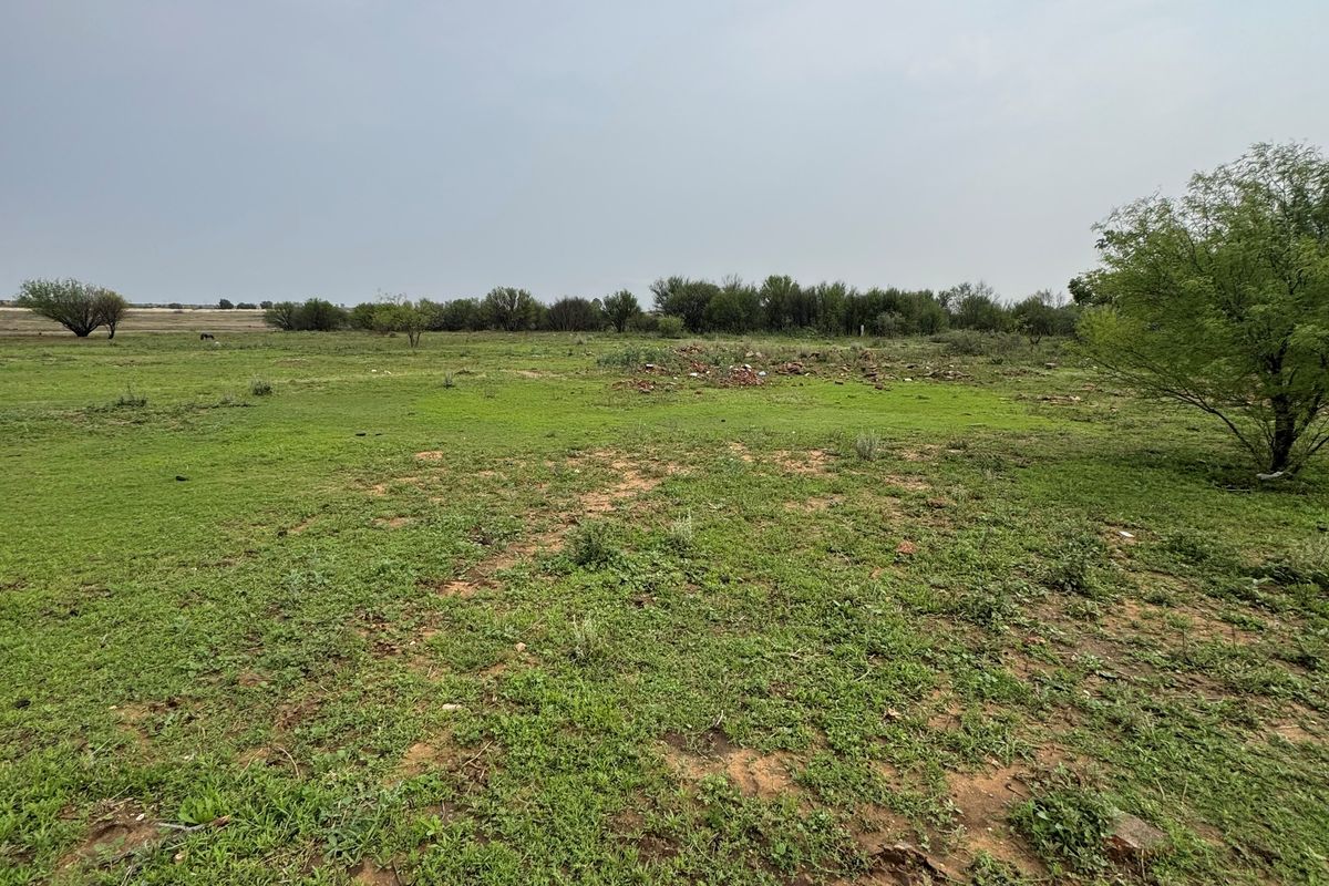 A wide-angle view of a vacant residential plot featuring natural grass cover and scattered trees.