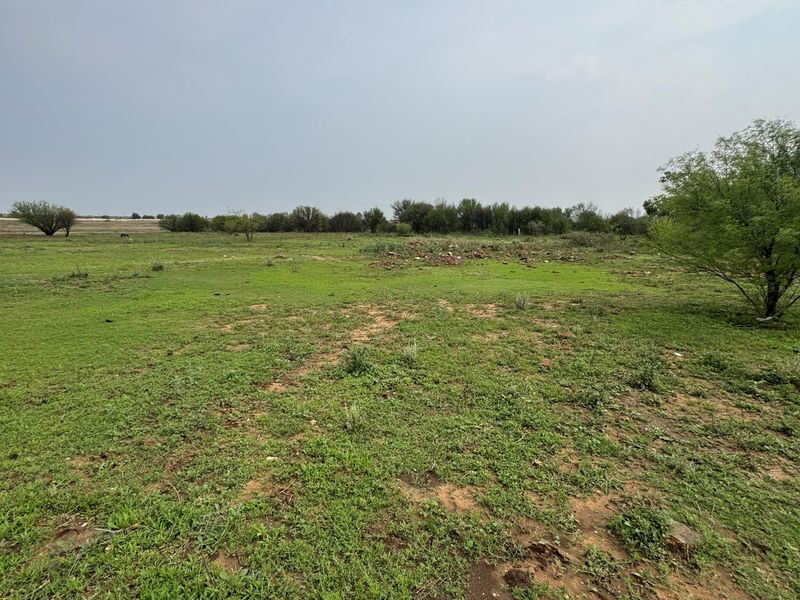 A wide-angle view of a vacant residential plot featuring natural grass cover and scattered trees.
