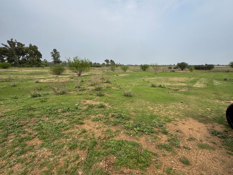 A wide-angle view of a vacant residential plot featuring natural grassland and scattered native vegetation.