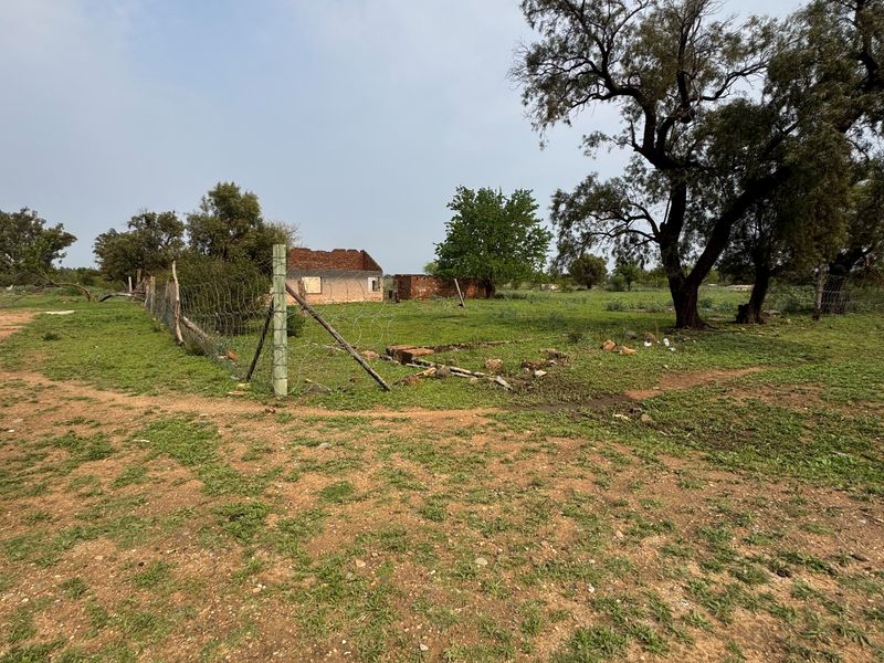 A vacant residential plot featuring wire fencing, mature trees, and the remains of a dilapidated structure on the property.