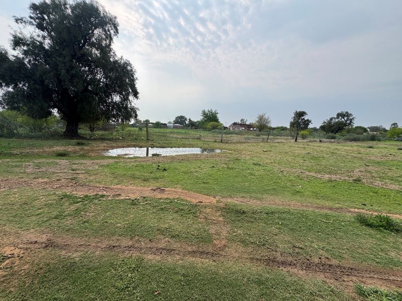 A view of a vacant residential plot featuring open grassy terrain, mature trees, and perimeter wire fencing.