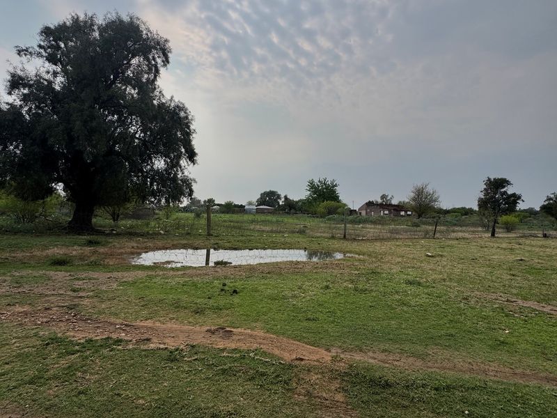 A view of a vacant residential plot featuring open grassy terrain, mature trees, and perimeter wire fencing.